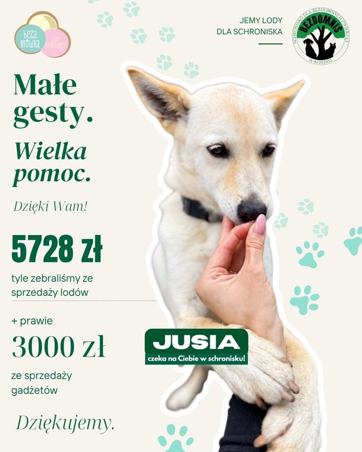 Podsumowanie zbiórki dla schroniska